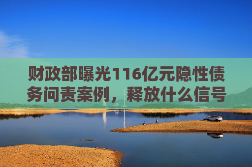 财政部曝光116亿元隐性债务问责案例，释放什么信号？