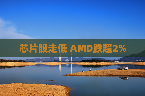 芯片股走低 AMD跌超2%