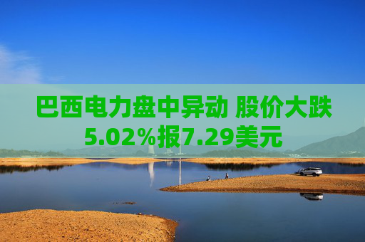 巴西电力盘中异动 股价大跌5.02%报7.29美元