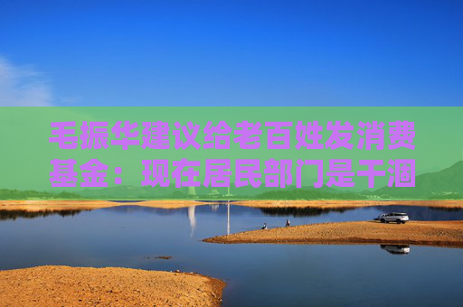 毛振华建议给老百姓发消费基金：现在居民部门是干涸的，要大水漫灌