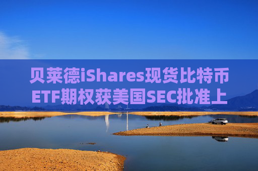 贝莱德iShares现货比特币ETF期权获美国SEC批准上市