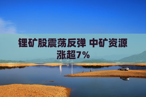 锂矿股震荡反弹 中矿资源涨超7%