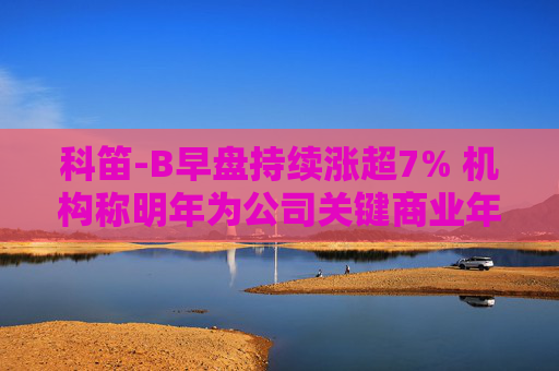 科笛-B早盘持续涨超7% 机构称明年为公司关键商业年