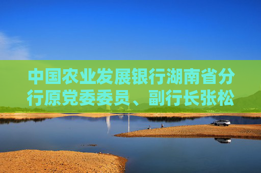 中国农业发展银行湖南省分行原党委委员、副行长张松柏接受纪律审查和监察调查