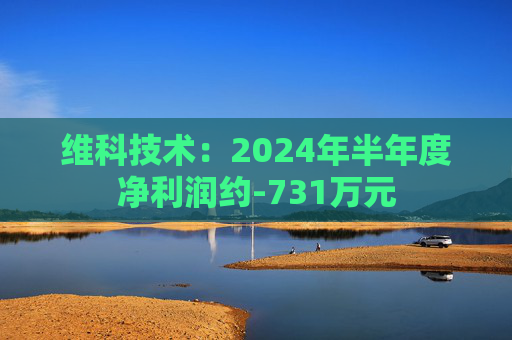 维科技术：2024年半年度净利润约-731万元