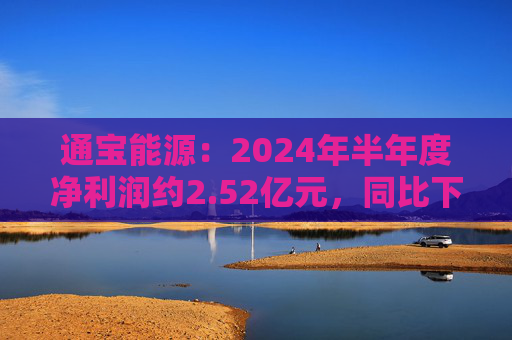 通宝能源：2024年半年度净利润约2.52亿元，同比下降36.49%