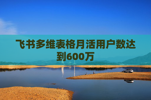 飞书多维表格月活用户数达到600万