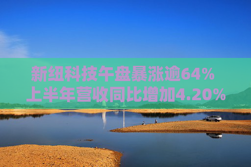 新纽科技午盘暴涨逾64% 上半年营收同比增加4.20%