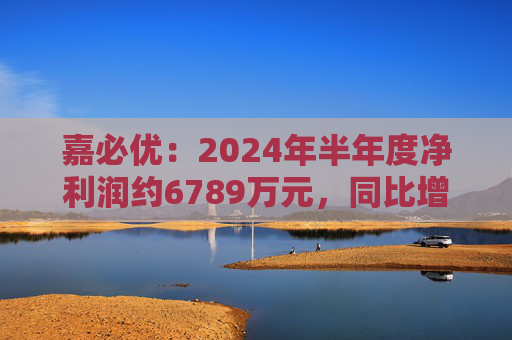 嘉必优：2024年半年度净利润约6789万元，同比增加94.82%