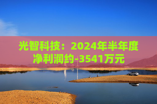 光智科技：2024年半年度净利润约-3541万元