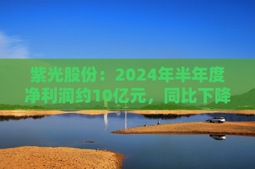 紫光股份：2024年半年度净利润约10亿元，同比下降2.13%