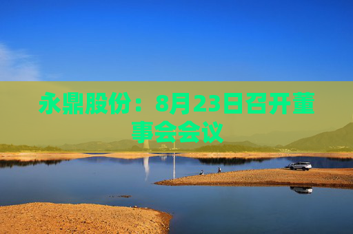 永鼎股份：8月23日召开董事会会议