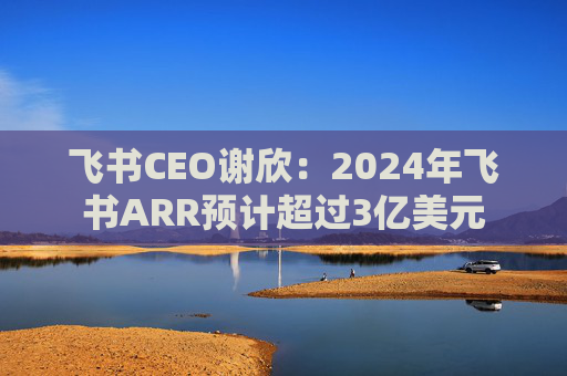 飞书CEO谢欣：2024年飞书ARR预计超过3亿美元