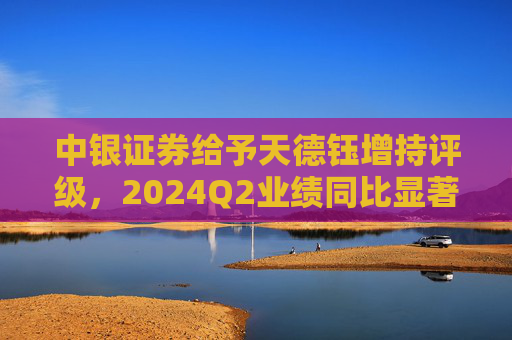 中银证券给予天德钰增持评级，2024Q2业绩同比显著增长，TDDI新产品和四色电子价签贡献主要驱动力