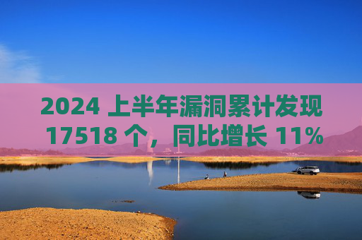 2024 上半年漏洞累计发现 17518 个，同比增长 11%