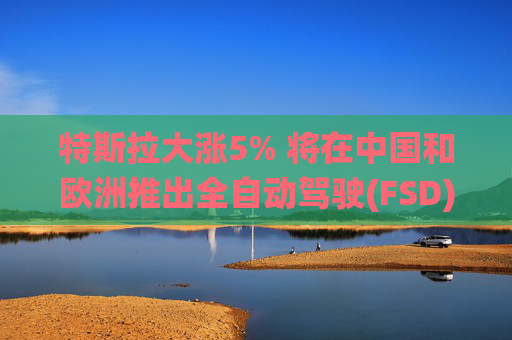 特斯拉大涨5% 将在中国和欧洲推出全自动驾驶(FSD)系统