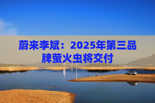 蔚来李斌：2025年第三品牌萤火虫将交付