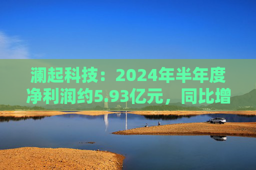 澜起科技：2024年半年度净利润约5.93亿元，同比增加624.63%