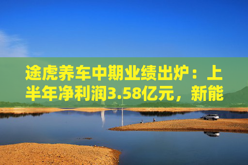 途虎养车中期业绩出炉：上半年净利润3.58亿元，新能源车用户渗透率为8.4%