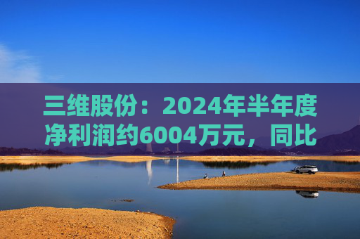 三维股份：2024年半年度净利润约6004万元，同比下降48.08%