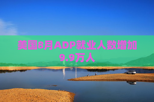 美国8月ADP就业人数增加9.9万人