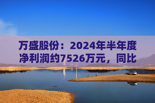 万盛股份：2024年半年度净利润约7526万元，同比下降34.94%