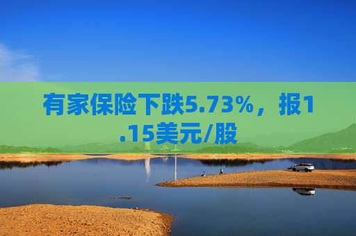 有家保险下跌5.73%，报1.15美元/股