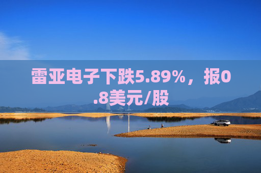 雷亚电子下跌5.89%，报0.8美元/股