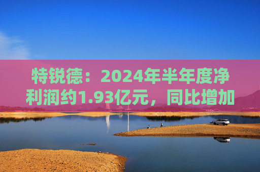 特锐德：2024年半年度净利润约1.93亿元，同比增加105.26%