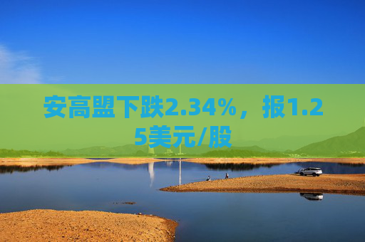 安高盟下跌2.34%，报1.25美元/股