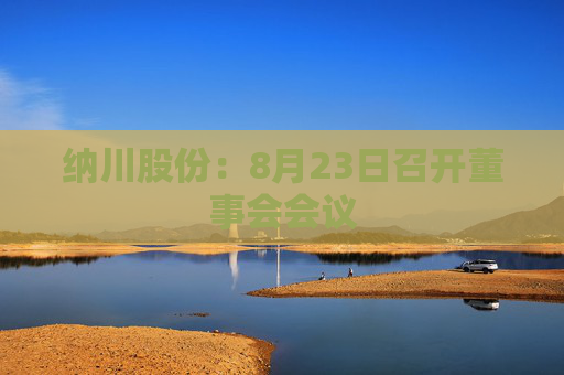 纳川股份：8月23日召开董事会会议