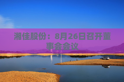 湘佳股份：8月26日召开董事会会议