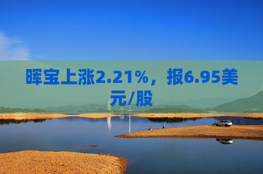 晖宝上涨2.21%，报6.95美元/股