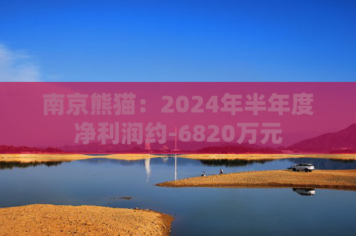 南京熊猫：2024年半年度净利润约-6820万元