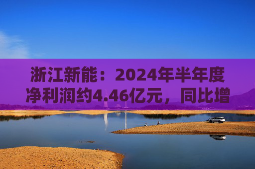 浙江新能：2024年半年度净利润约4.46亿元，同比增加49.92%