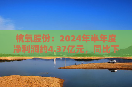 杭氧股份：2024年半年度净利润约4.37亿元，同比下降16.76%