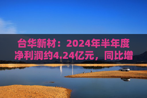 台华新材：2024年半年度净利润约4.24亿元，同比增加131.53%