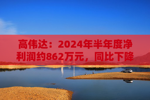 高伟达：2024年半年度净利润约862万元，同比下降41.41%