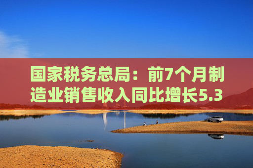 国家税务总局：前7个月制造业销售收入同比增长5.3%