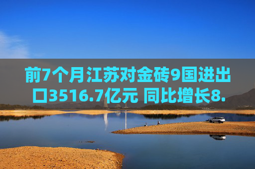 前7个月江苏对金砖9国进出口3516.7亿元 同比增长8.1%