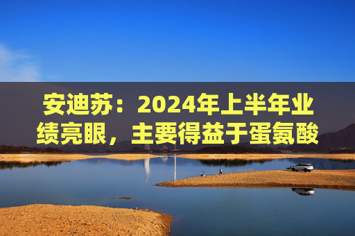 安迪苏：2024年上半年业绩亮眼，主要得益于蛋氨酸业务的强劲增长等