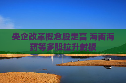 央企改革概念股走高 海南海药等多股拉升封板