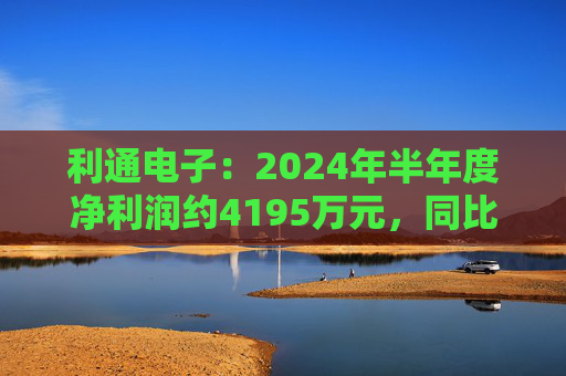 利通电子：2024年半年度净利润约4195万元，同比增加54.26%