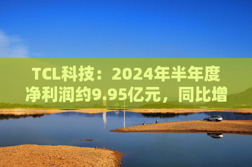 TCL科技：2024年半年度净利润约9.95亿元，同比增加192.28%