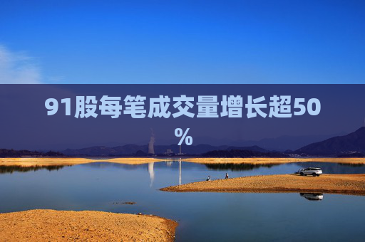 91股每笔成交量增长超50%