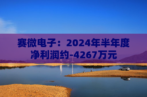 赛微电子：2024年半年度净利润约-4267万元