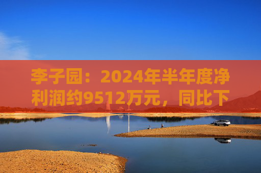 李子园：2024年半年度净利润约9512万元，同比下降29.29%