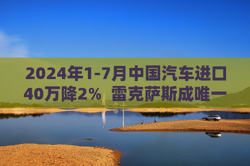 2024年1-7月中国汽车进口40万降2%  雷克萨斯成唯一销量正增长豪华品牌