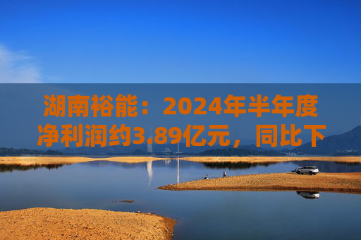 湖南裕能：2024年半年度净利润约3.89亿元，同比下降68.57%