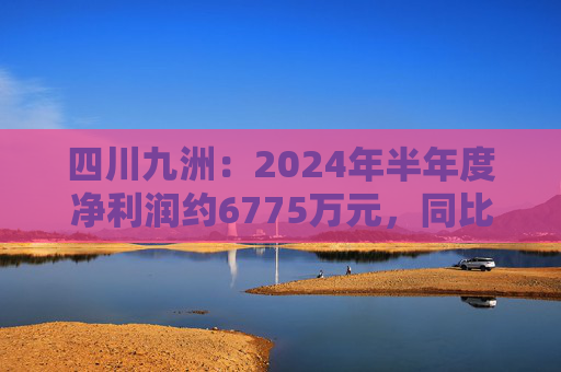 四川九洲：2024年半年度净利润约6775万元，同比下降20.76%